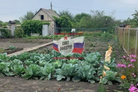 Дача СНТ Ивушка